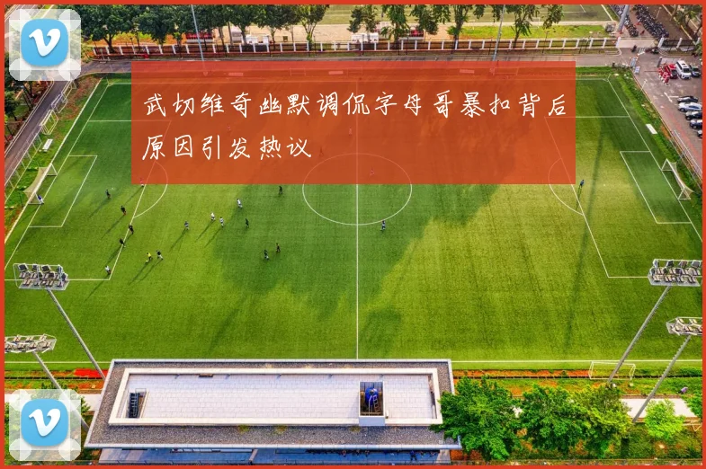 武切维奇幽默调侃字母哥暴扣背后原因引发热议