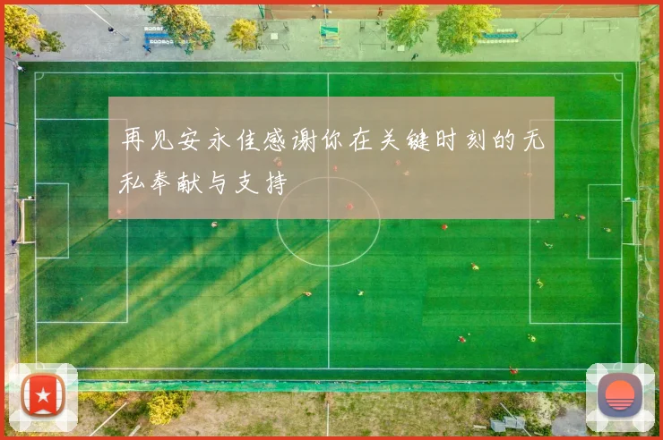 再见安永佳感谢你在关键时刻的无私奉献与支持