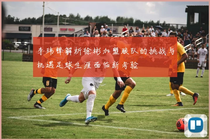 李玮锋解析徐彬加盟狼队的挑战与机遇足球生涯面临新考验