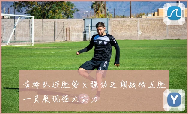 黄蜂队连胜势头强劲近期战绩五胜一负展现强大实力