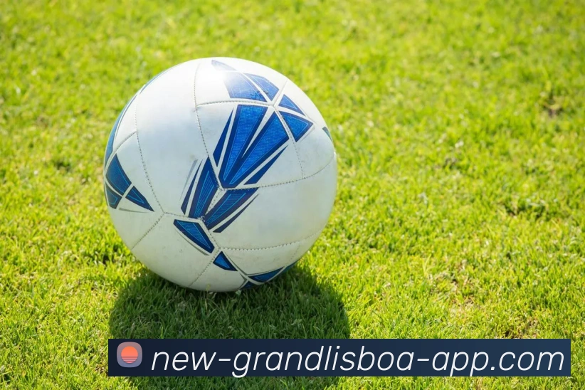 新葡京娱乐平台生态图