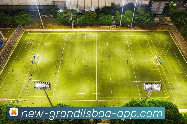 新葡京娱乐APP 封面图